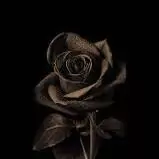 black dp for whatsapp profile for girl black dp for whatsapp profile for girl
